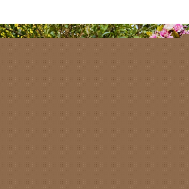 Jogo 4 xícaras / Caneca Café Chá Porcelan...